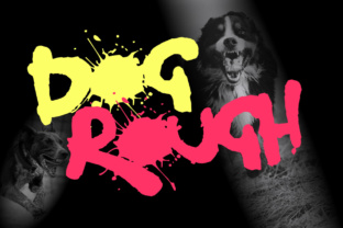 Dog Rough: The Creative Font That Stops the Scroll