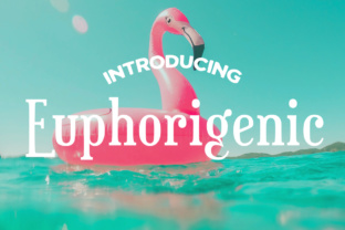 Euphorigenic: A Luxe Slab-Serif Typeface for Handmade Brands