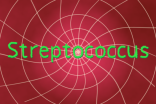 Streptococcus: The Playful Sans Serif Typeface for Modern Web Design