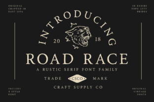 Why Road Race Family Is the Serif Choice for Modern Web Layouts