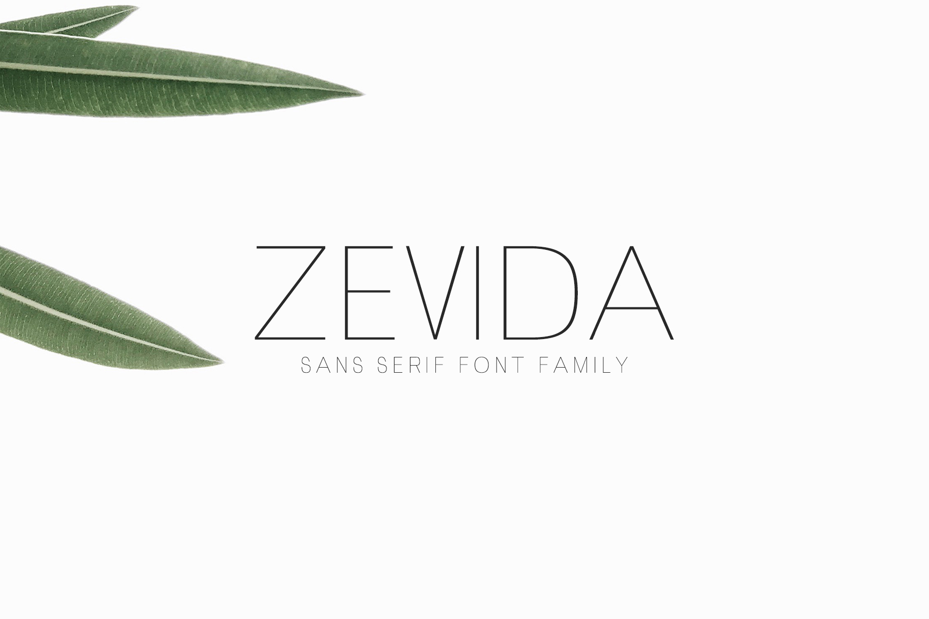 Why Zevida Is the Perfect Sans Serif Font for Modern Brand Identity