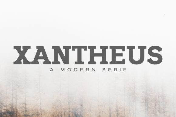 Xantheus Family: A Rounded Serif Typeface for Clearer Campaign Design